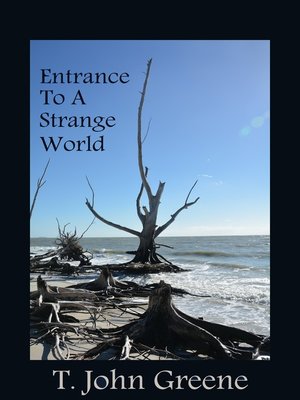 cover image of Entrance to a Strange World